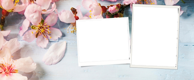 2 panel decorative Mug - Luxe Custom Designer