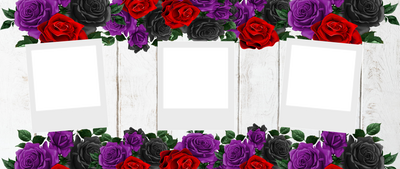 Rose 3 Image Photo Mug - Luxe Custom Designer