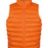 Ice bird padded gilet