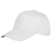 Houston 5-panel printer's cap