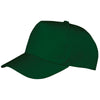 Boston 5-panel polycotton printer's cap