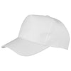Boston 5-panel polycotton printer's cap