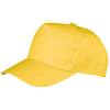 Boston 5-panel polycotton printer's cap