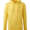 Men's Anthem hoodie