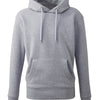 Men's Anthem hoodie