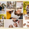 9 Image Photo Slate - Luxe Custom Designer