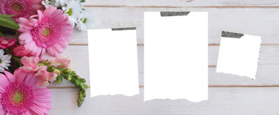 3 Panel Photo mug - Luxe Custom Designer
