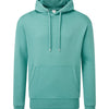 Men's Anthem hoodie