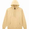 Softstyle™ midweight fleece adult hoodie