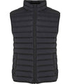 Light puffer vest