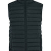 Light puffer vest