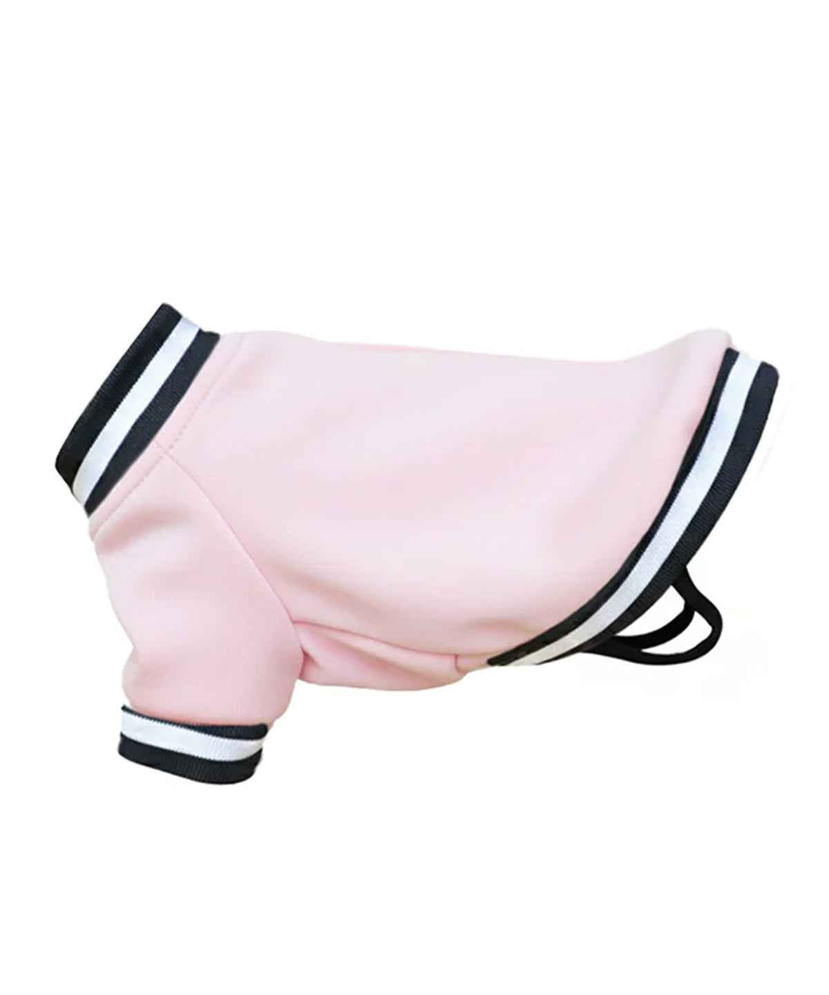 Dog’s varsity jacket