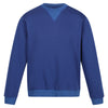 Pro crew neck sweatshirt