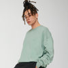 Unisex Ledger dry sweatshirt (STSU798)