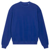 Unisex Ledger dry sweatshirt (STSU798)