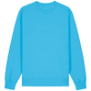 Unisex Changer 2.0 iconic crew neck sweatshirt (STSU178)
