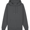 Unisex Cruiser 2.0 iconic hoodie sweatshirt (STSU177)
