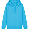 Unisex Cruiser 2.0 iconic hoodie sweatshirt (STSU177)