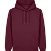 Unisex Cruiser 2.0 iconic hoodie sweatshirt (STSU177)
