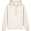 Unisex Cruiser 2.0 iconic hoodie sweatshirt (STSU177)