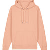 Unisex Cruiser 2.0 iconic hoodie sweatshirt (STSU177)