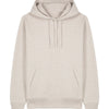 Unisex Cruiser 2.0 iconic hoodie sweatshirt (STSU177)