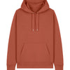 Unisex Cruiser 2.0 iconic hoodie sweatshirt (STSU177)