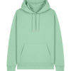 Unisex Cruiser 2.0 iconic hoodie sweatshirt (STSU177)