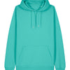 Unisex Cruiser 2.0 iconic hoodie sweatshirt (STSU177)