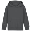 Kids Mini Cruiser 2.0 iconic hoodie sweatshirt (STSK180)