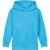 Kids Mini Cruiser 2.0 iconic hoodie sweatshirt (STSK180)
