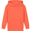 Kids Mini Cruiser 2.0 iconic hoodie sweatshirt (STSK180)