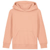 Kids Mini Cruiser 2.0 iconic hoodie sweatshirt (STSK180)