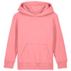 Kids Mini Cruiser 2.0 iconic hoodie sweatshirt (STSK180)