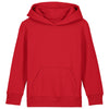 Kids Mini Cruiser 2.0 iconic hoodie sweatshirt (STSK180)