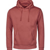 UNLABELED hooded sweatshirt (5152)